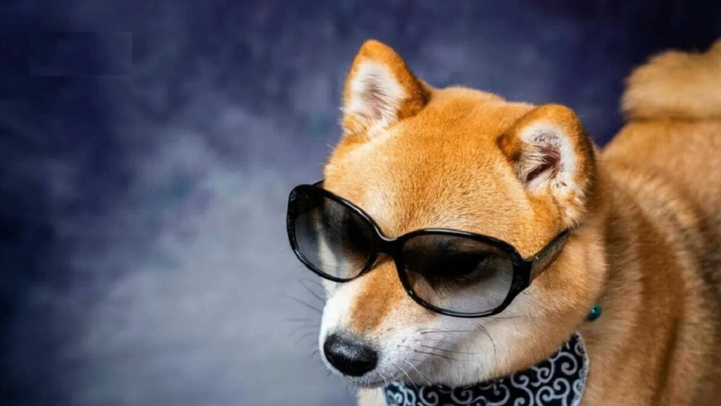 Analist: DOGE ve Bu 5 Coinde Havai Fişeklere Hazırlanın!