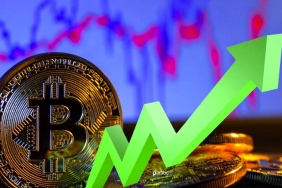Analistler, Epik Yükseliş Bekledikleri 8 Altcoin Duyurdu!