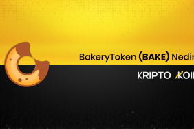 BakeryToken Nedir? BAKE Ne İşe Yarar?
