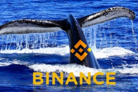 Binance Balinaları, Paralarını Bu 6 Altcoin’e Park Ediyor!