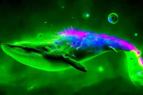 Binance Balinaları Uyandı: Bu 6 Altcoin Hızla Alınıyor!