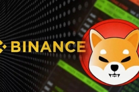 Binance’den Önemli SHIB Hamlesi: Onmilyonluk Tasfiye!