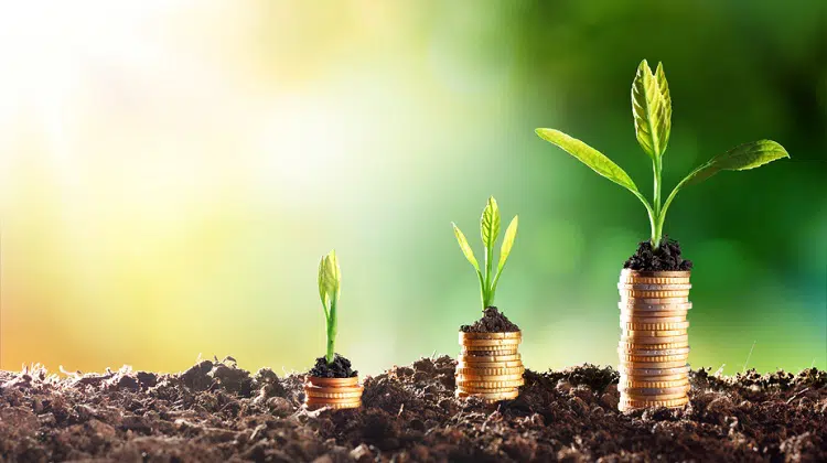 Bir Yatırımcı Ethereum ve Bu Altcoinden 2 Yılda 10 Milyon Dolar Kazandı!