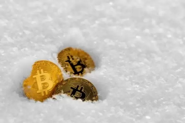Bitcoin’in Güçlü Bir Geçmişe Sahip Olduğunu Söyleyen Analistler Kripto Kışları Fırsattır Dedi!
