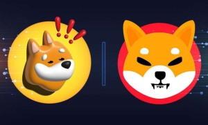 BONK Sıradaki SHIB Olabilir mi? Değilse Hangi Coin?