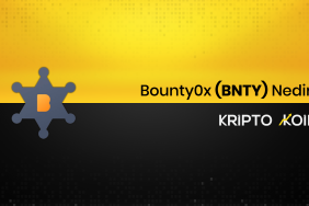 Bounty0x Nedir? BNTY Ne İşe Yarar?