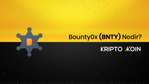Bounty0x Nedir? BNTY Ne İşe Yarar?