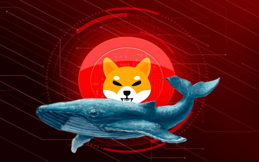Bu Altcoin SHIB’i Devirdi: Balinalar Ona Koşuyor!