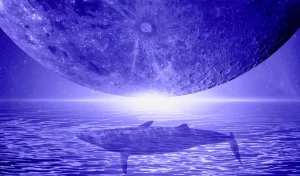 ‘Büyük Haber’ Etkisiyle Balinalar Bu Altcoin’e Akın Etti!