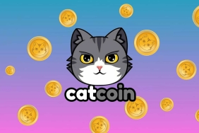 CATCOIN Nedir? CATS Ne İşe Yarar?