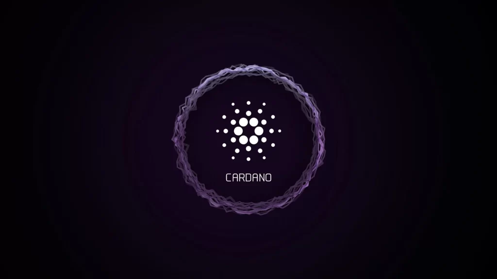 Crypto Capital Venture Kurucusu: Bu Altcoin Çok Ucuz!