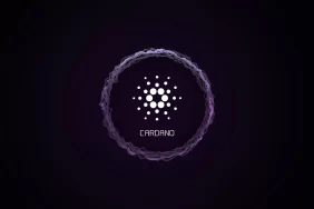 Crypto Capital Venture Kurucusu: Bu Altcoin Çok Ucuz!