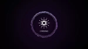 Crypto Capital Venture Kurucusu: Bu Altcoin Çok Ucuz!