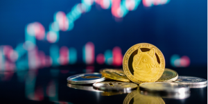 Danışmanlık Devi: Bu Meme Coin Riskli! Uzak Durun