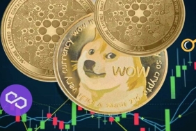 DOGE, ADA, MATIC, BTC ve Bu 6 Altcoin İçin Trade Stratejileri!
