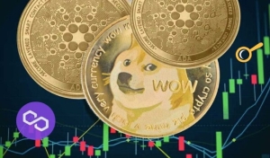 DOGE, ADA, MATIC, BTC ve Bu 6 Altcoin İçin Trade Stratejileri!