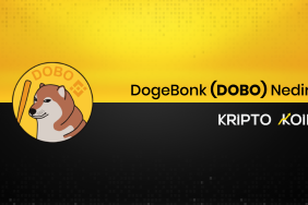 DogeBonk Nedir? DOBO Ne İşe Yarar?