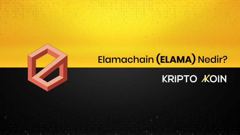 Elamachain Nedir? ELAMA Ne İşe Yarar?