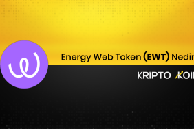 Energy Web Token Nedir? EWT Ne İşe Yarar?