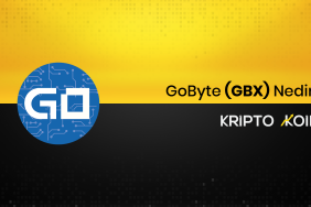 GoByte Nedir? GBX Ne İşe Yarar?