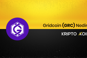 Gridcoin Nedir? GRC Ne İşe Yarar?