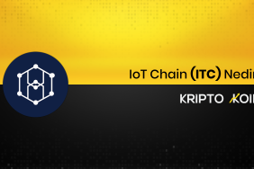 IoT Chain Nedir? ITC Ne İşe Yarar?