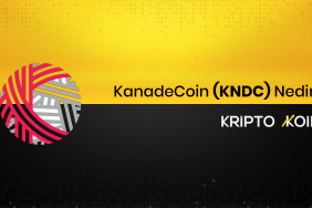KanadeCoin Nedir? KNDC Ne İşe Yarar?
