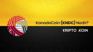 KanadeCoin Nedir? KNDC Ne İşe Yarar?
