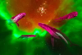 Kripto Para Milyonerleri, Bu Altcoin’den Sattı!