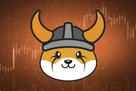 Meme Token Floki Inu Geliştiricilerinden Fiyata Etki Edebilecek Hamle Geldi!