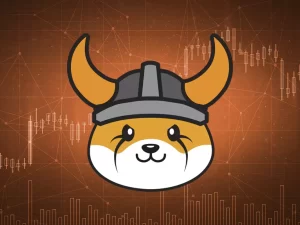 Meme Token Floki Inu Geliştiricilerinden Fiyata Etki Edebilecek Hamle Geldi!