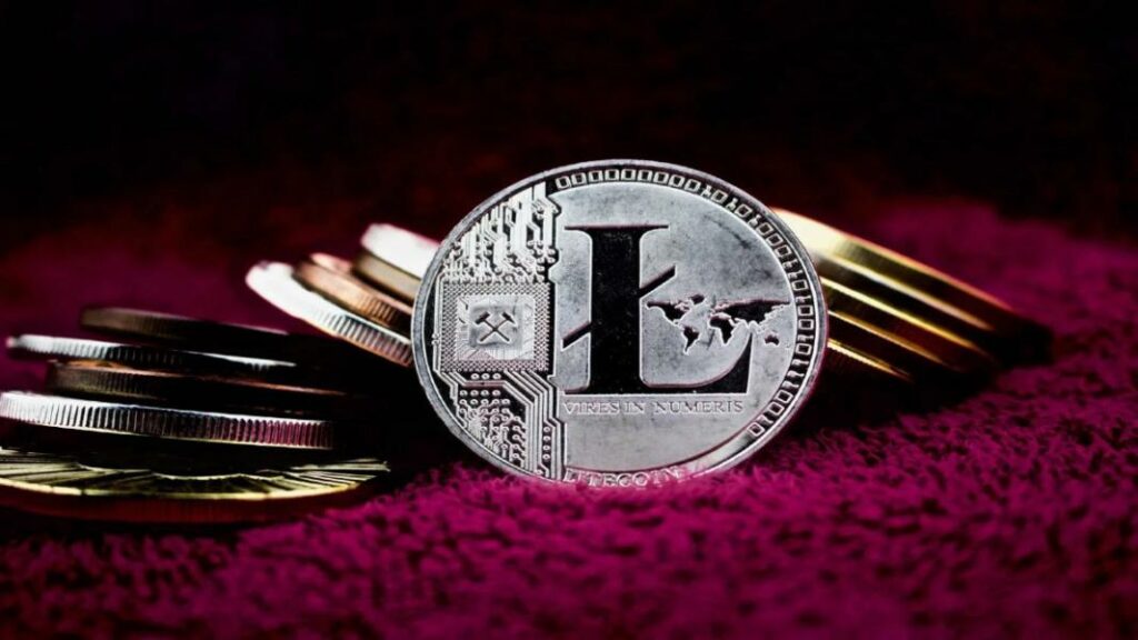 Nam Salan Analist, XRP ve 5 Altcoin İçin Kritik Tahminler Yaptı!