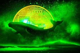 Önemli Gelişmeden Önce Balinalar Bu Altcoin’den Yığınak Yapıyor!