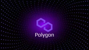 Polygon Geliştiricileri Yeni Bir Güncelleme Önerdi