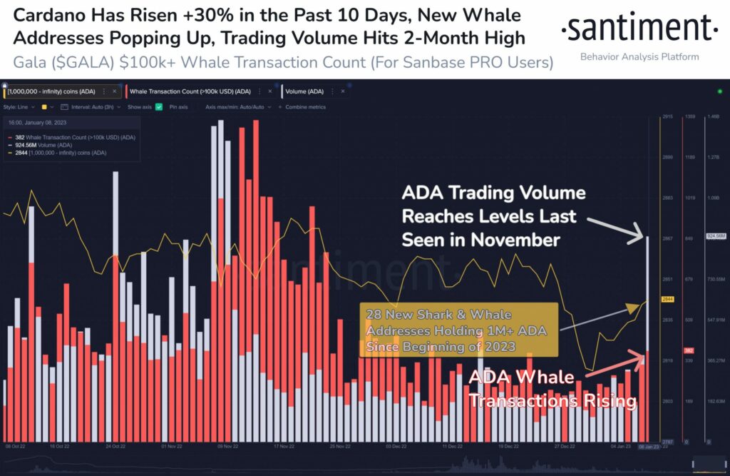 Altcoin