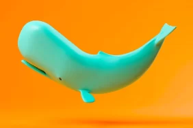 SHIB ve DOGE Milyonerleri, Bakın Hangi Coinleri Stokluyor!