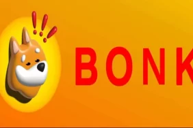Shıba Inu Katili BONK Rekorlara Doymuyor! Bu Altcoini Geride Bıraktı!