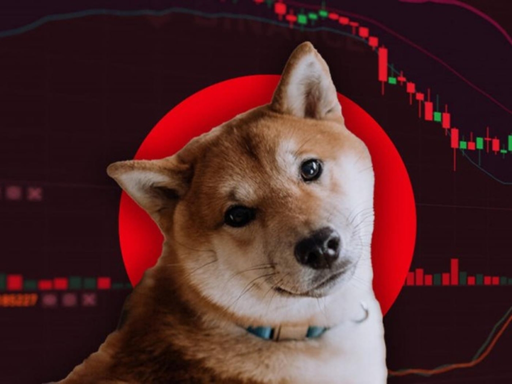 Shiba Inu Yatırımcıları Dikkat: 6 Büyük Gelişme Açıklandı!