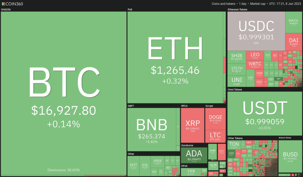 Altcoin