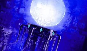 Türklerin de Aldığı Bu Altcoin, Büyük Rekora İmza Attı!