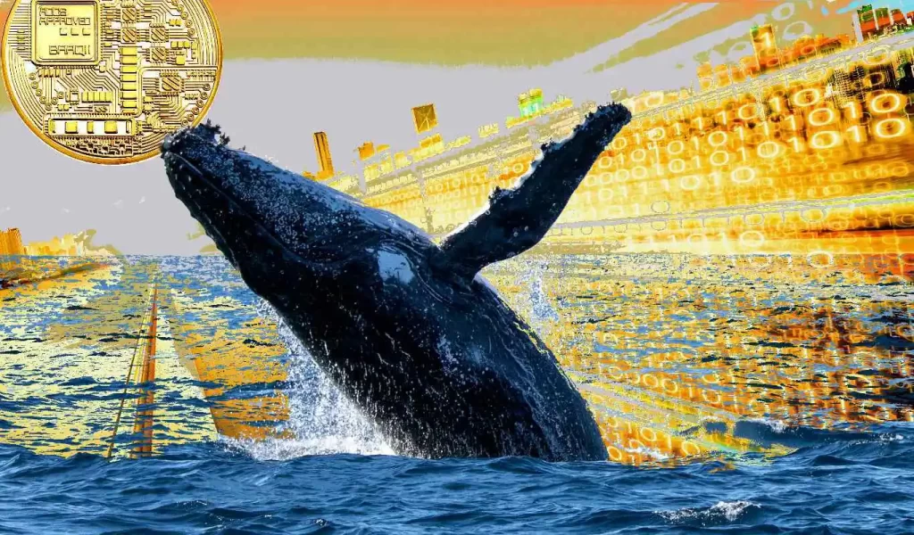 Ünlü Balina: Bu Etkinlik Parlayan Bu Altcoin İçin Çok Önemli!