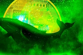 Veriler Şaşırttı: Bu 3 Altcoin, Balinaların Radarında!