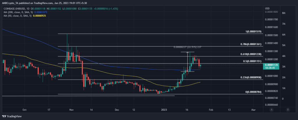 Veriler Şaşırttı: Bu 3 Altcoin, Balinaların Radarında!
