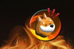 “Yeni Dogecoin” BONK’un Geliştiricilerinden Şaşırtıcı Token Yakımı Hamlesi!