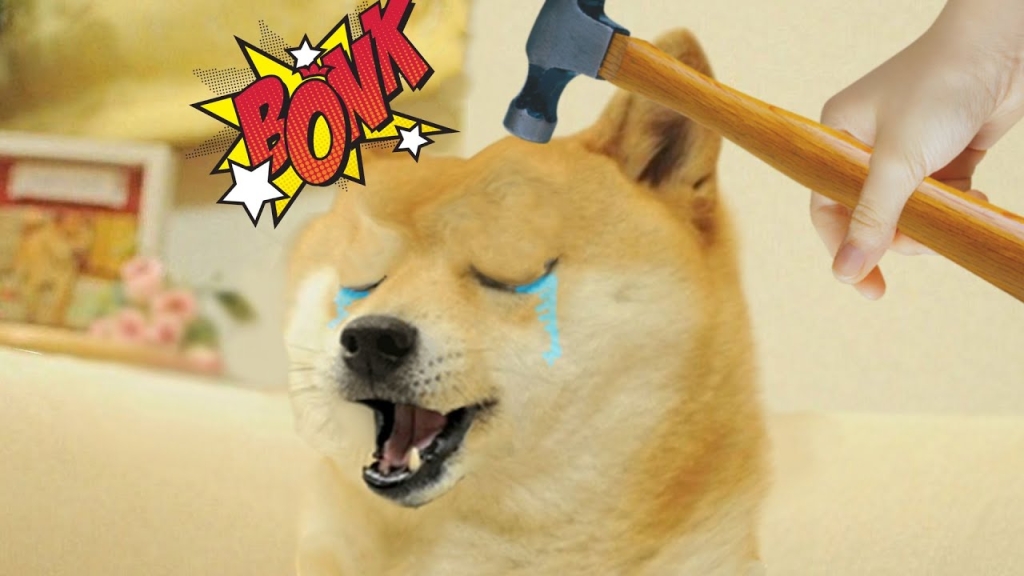 Yeni Milyonerleri DOGE, BONK Değil: Bu 2’si Doğuracak!