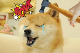 Yeni Milyonerleri DOGE, BONK Değil: Bu 2’si Doğuracak!