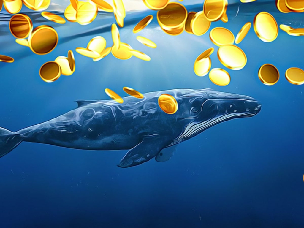2 Dev Şirket Satın Aldı: Bu 3 Altcoin İçin Müjde!