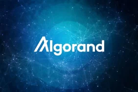Algorand CEO’su, SEC’in BUSD Hamlesini Değerlendirdi