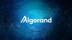 Algorand CEO’su, SEC’in BUSD Hamlesini Değerlendirdi