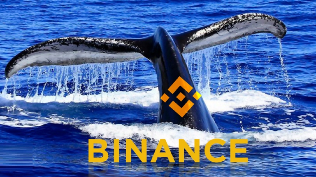 Binance Balinaları, ADA ve Bu 5 Altcoini Hızla Alıyor!